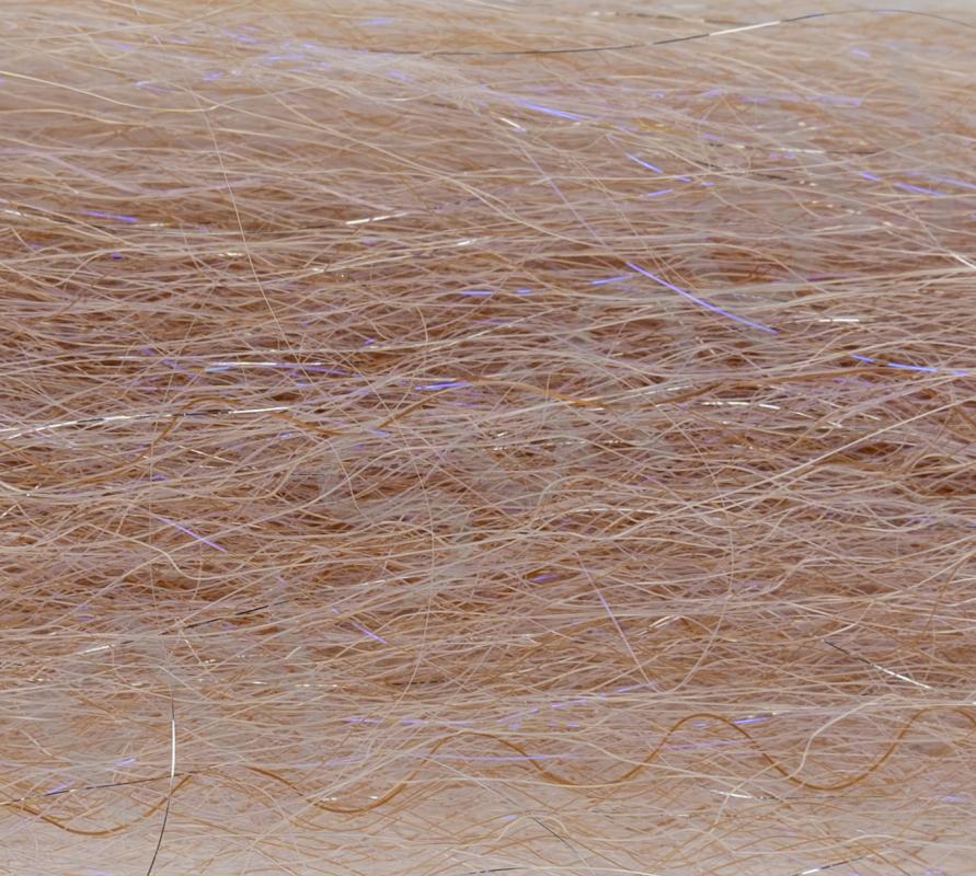 Silver Scale Anchovy