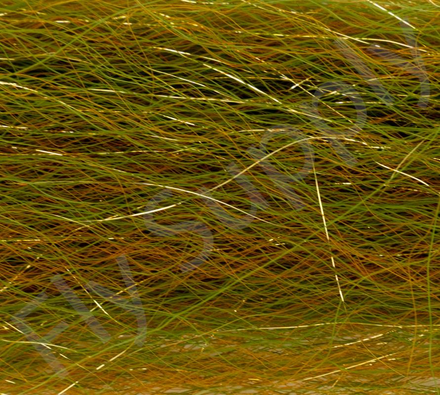 Golden Perch