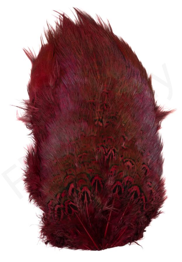 Maroon / Wine